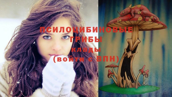 амфетамин Покачи
