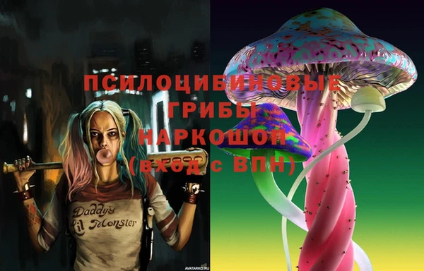 дурь Белокуриха