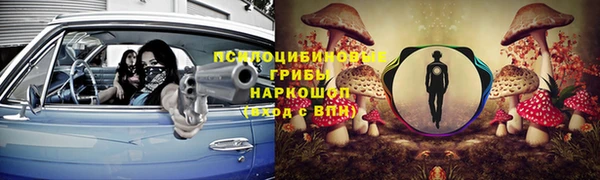 СК Беломорск