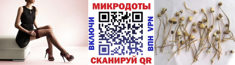 цены наркотик Волгореченск Галлюциногенные грибы мицелий